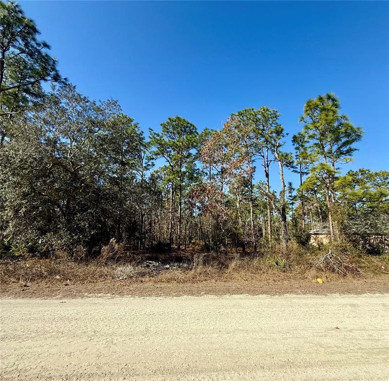 0 MACASSAR ROAD WEEKI WACHEE, FL 34614