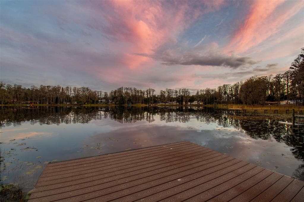 3812 LITTLE ROAD LUTZ, FL 33548