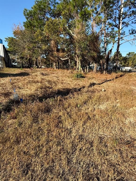 13786 LINDEN DRIVE SPRING HILL, FL 34609