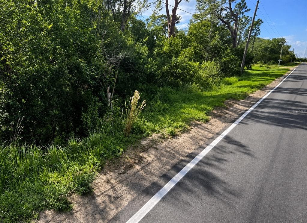 0 ALTURAS BABSON PARK CUTOFF ROAD Lot 78 BARTOW, FL 33830