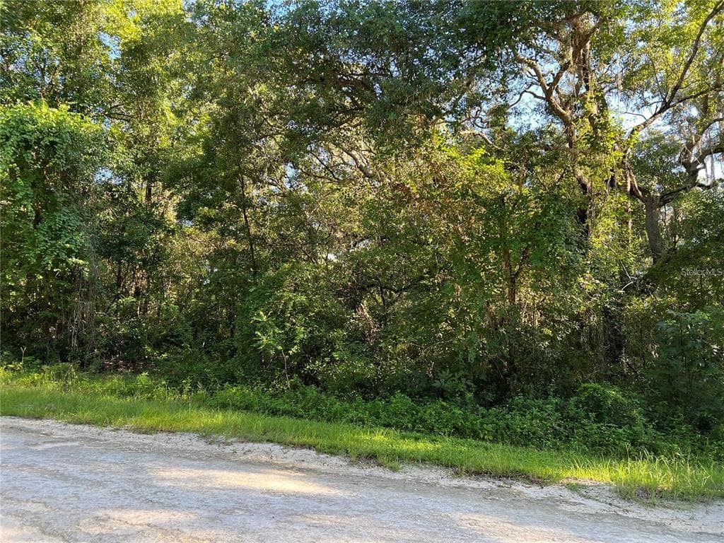 34085 ARROWROCK STREET WEBSTER, FL 33597