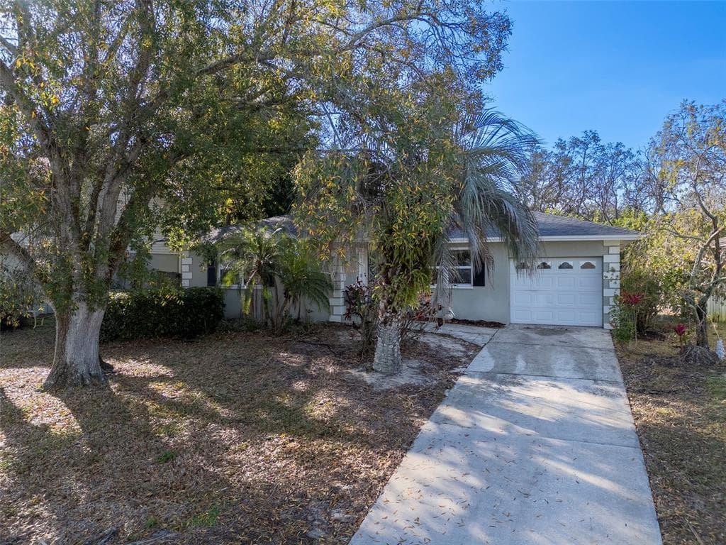 55 GULFWINDS DRIVE PALM HARBOR, FL 34683