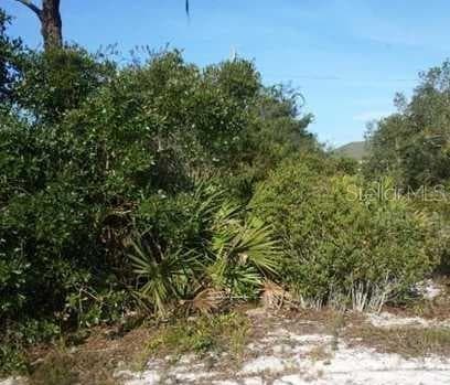 922 ASTER STREET LAKE PLACID, FL 33862