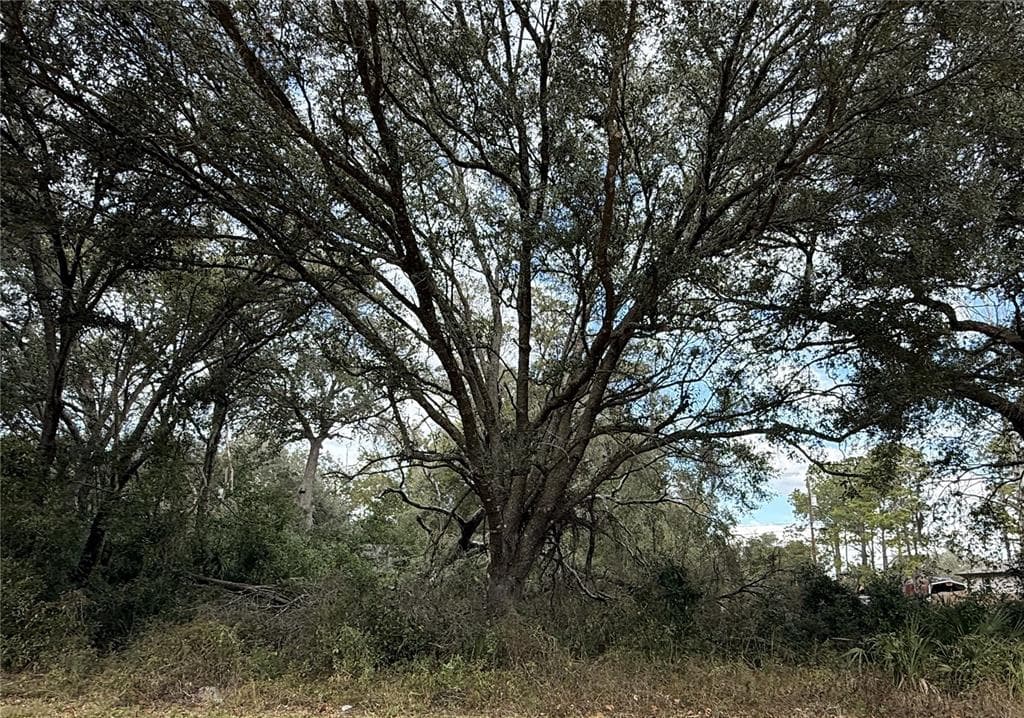 0 HILDA RD DADE CITY, FL 33523