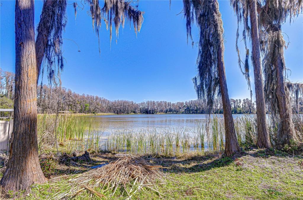 6608 WISTERIA LOOP LAND O LAKES, FL 34638