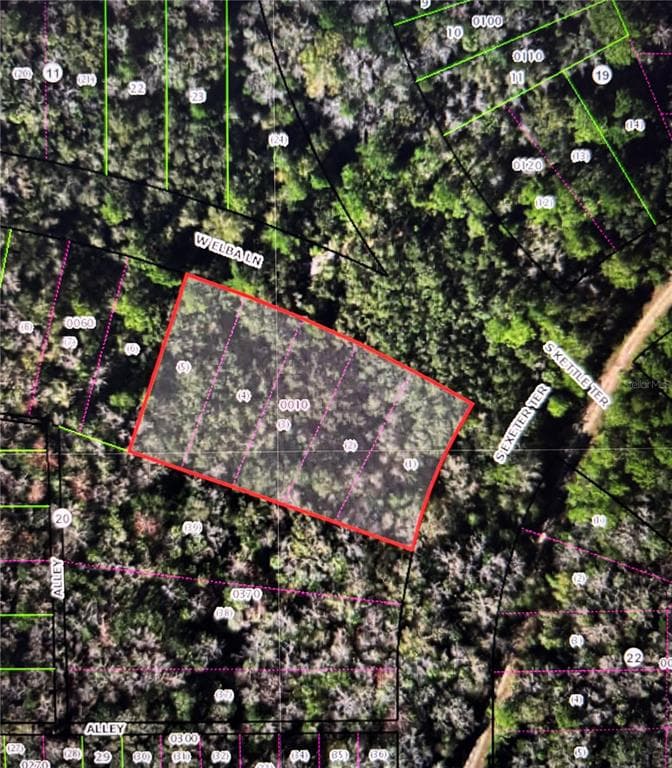 8748 W ELBA PLACE HOMOSASSA, FL 34448