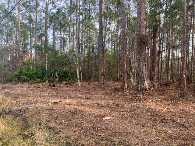 4515 MAHOGANY BOULEVARD BUNNELL, FL 32110