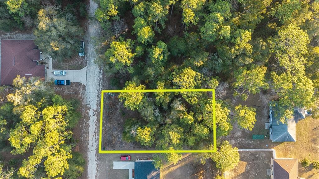 4160 SW 159TH AVENUE OCALA, FL 34481
