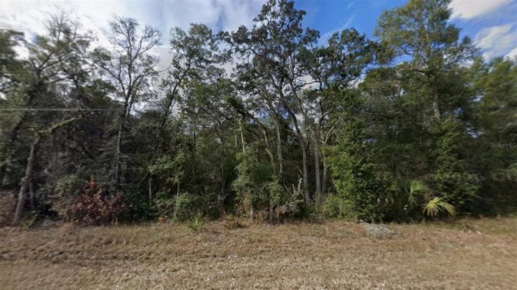 NW 85TH AVENUE CHIEFLAND, FL 32626