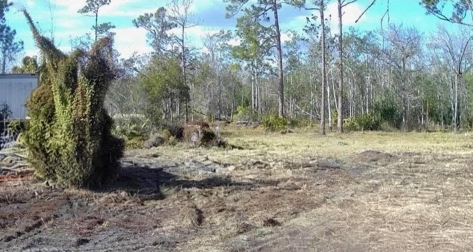 121 PERSIMMON TRAIL LAKE PLACID, FL 33852