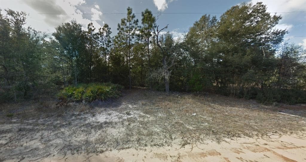 LUDLOW STREET INTERLACHEN, FL 32148