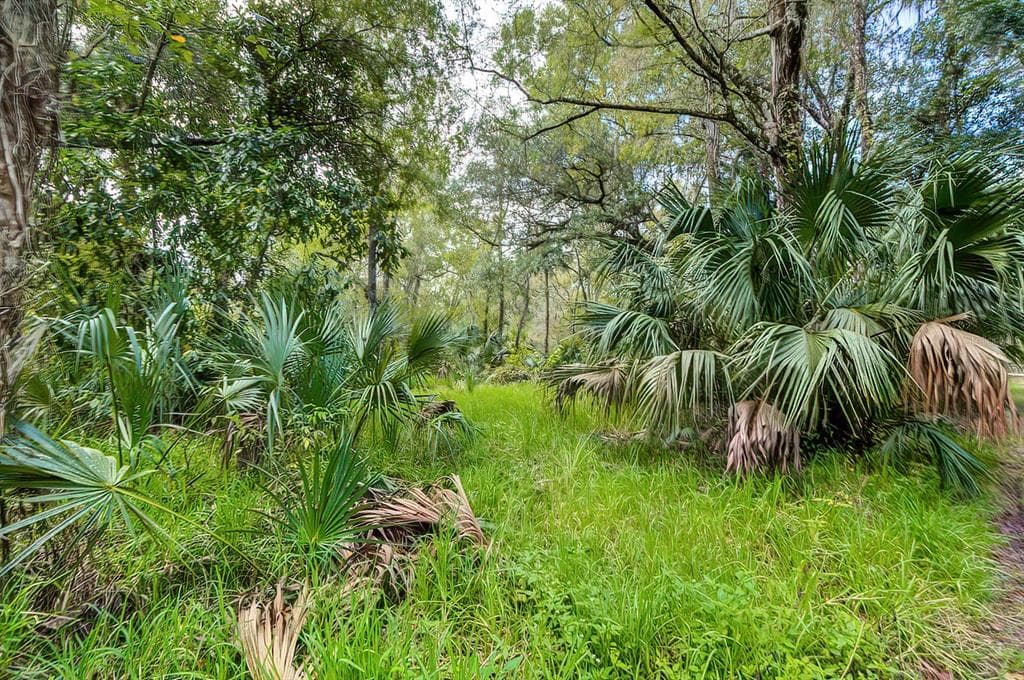 14902 DEAD RIVER ROAD THONOTOSASSA, FL 33592