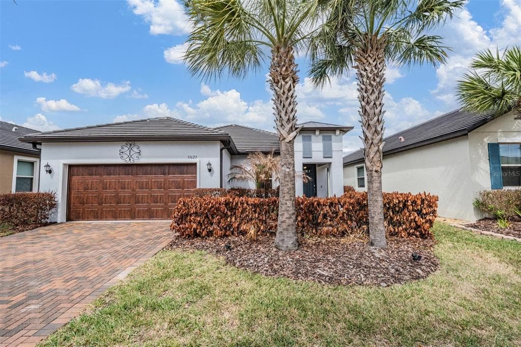 31625 CANNON RUSH DRIVE SAN ANTONIO, FL 33576