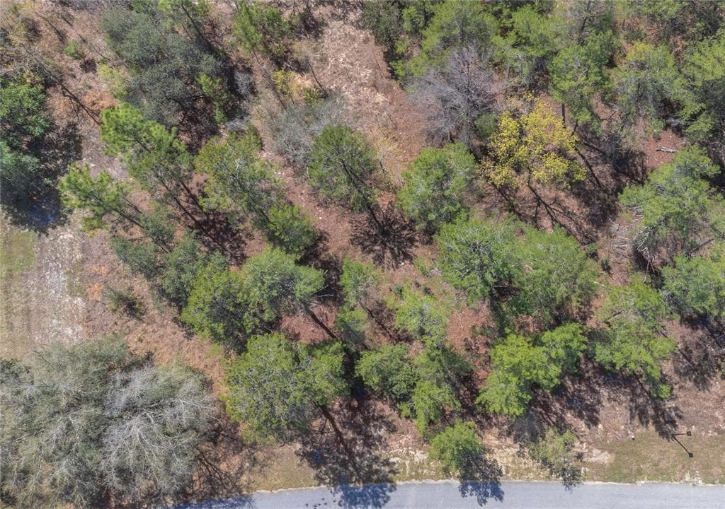 10 HEUCHERA COURT E HOMOSASSA, FL 34446