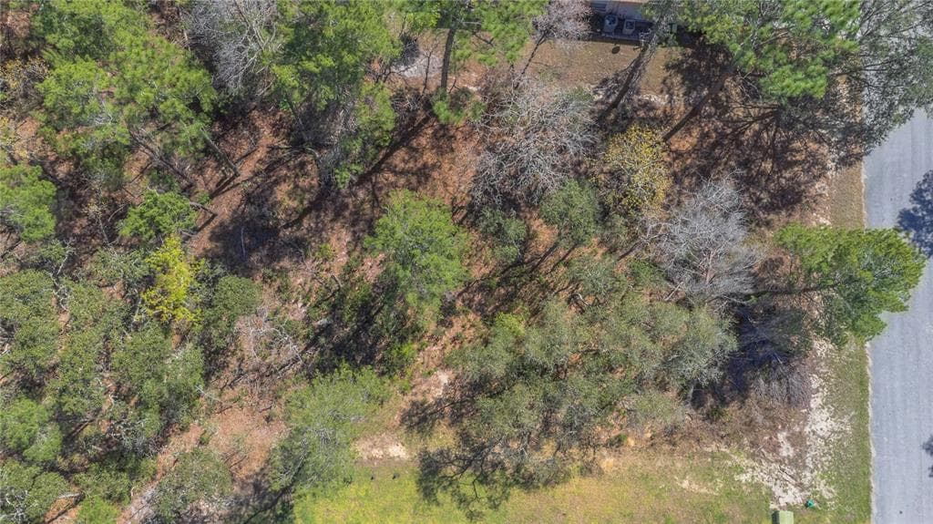 16 IBERIS COURT HOMOSASSA, FL 34446