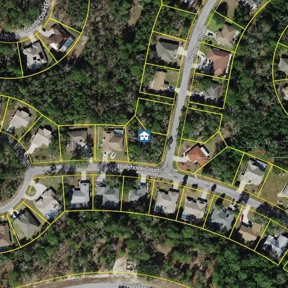 36 HOLLYHOCK COURT HOMOSASSA, FL 34446