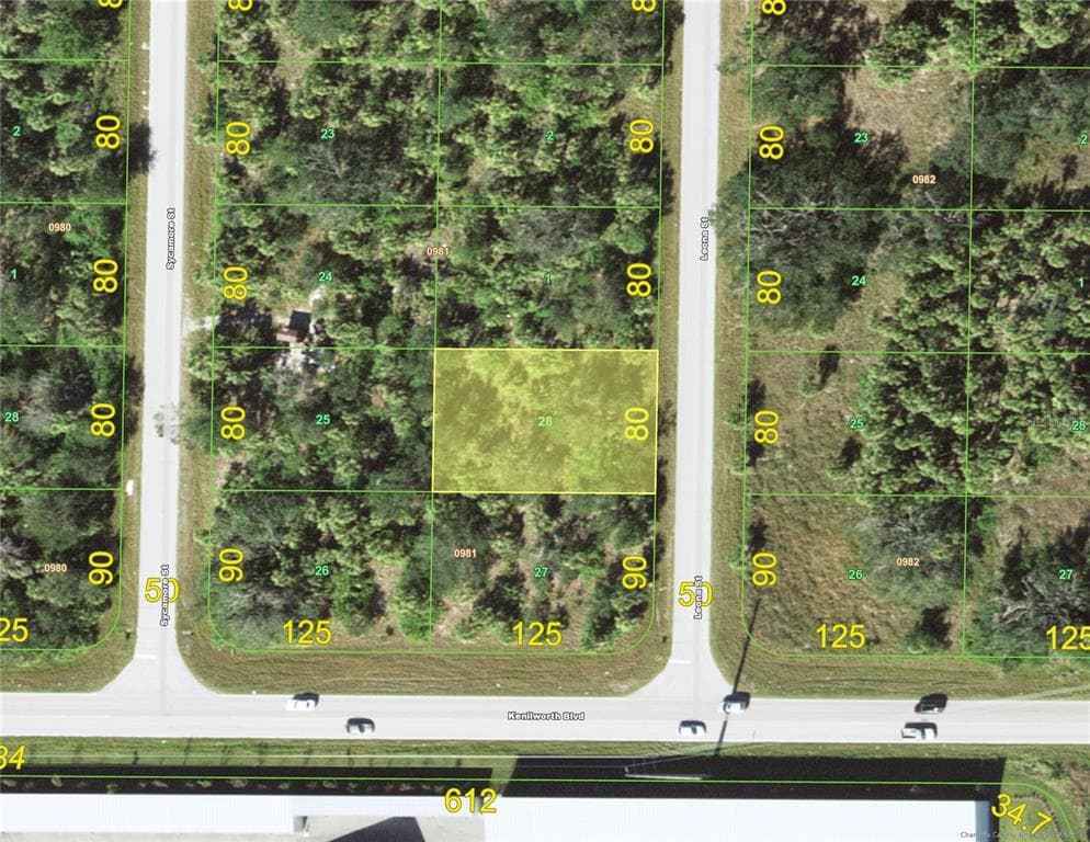 493 LEONA STREET PORT CHARLOTTE, FL 33954