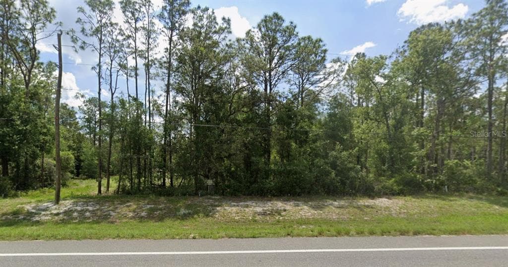 7430 TREIMAN BOULEVARD WEBSTER, FL 33597