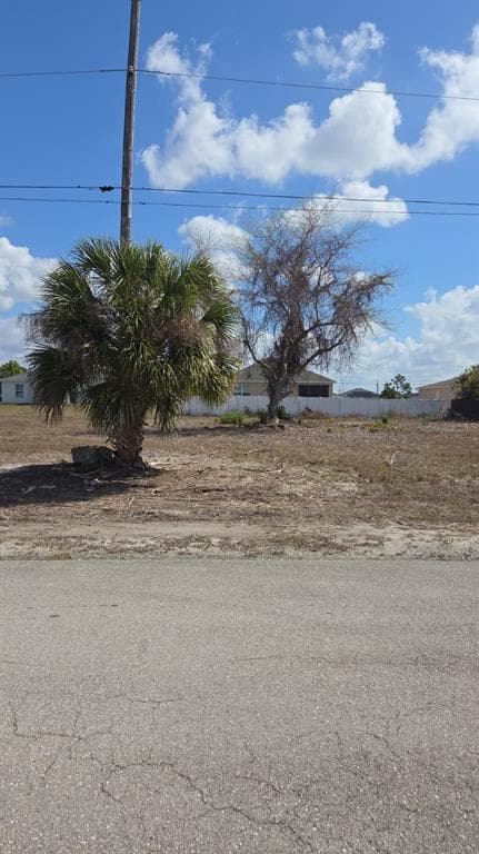 3029 NE JUANITA PLACE NE CAPE CORAL, FL 33909