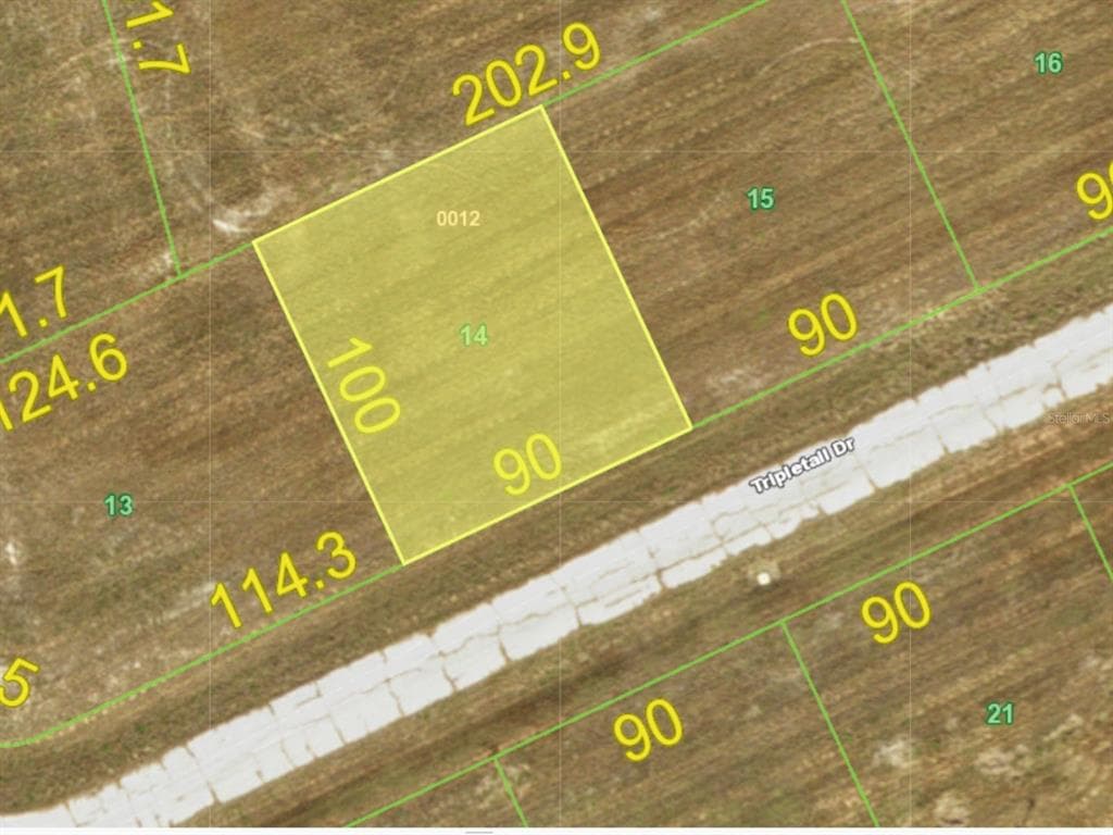 12394 TRIPLETAIL DRIVE PLACIDA, FL 33946