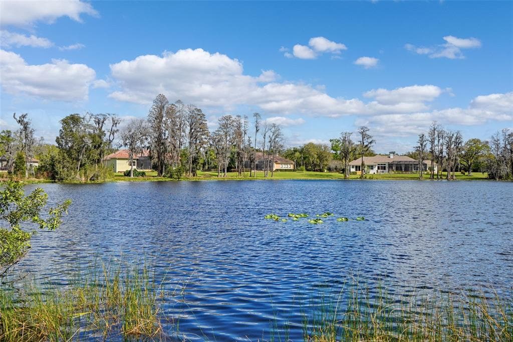 18709 WAYNE ROAD ODESSA, FL 33556