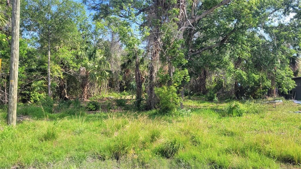 Lot 40 NEEDLES DRIVE HUDSON, FL 34667
