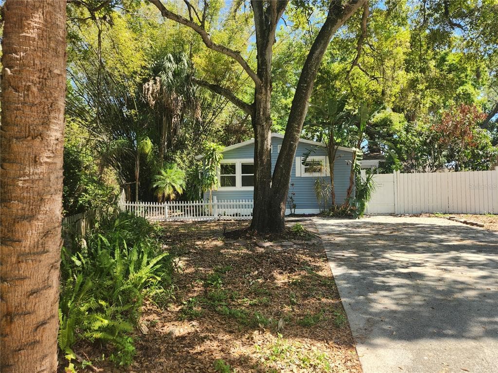 504 BELMONT STREET SAFETY HARBOR, FL 34695