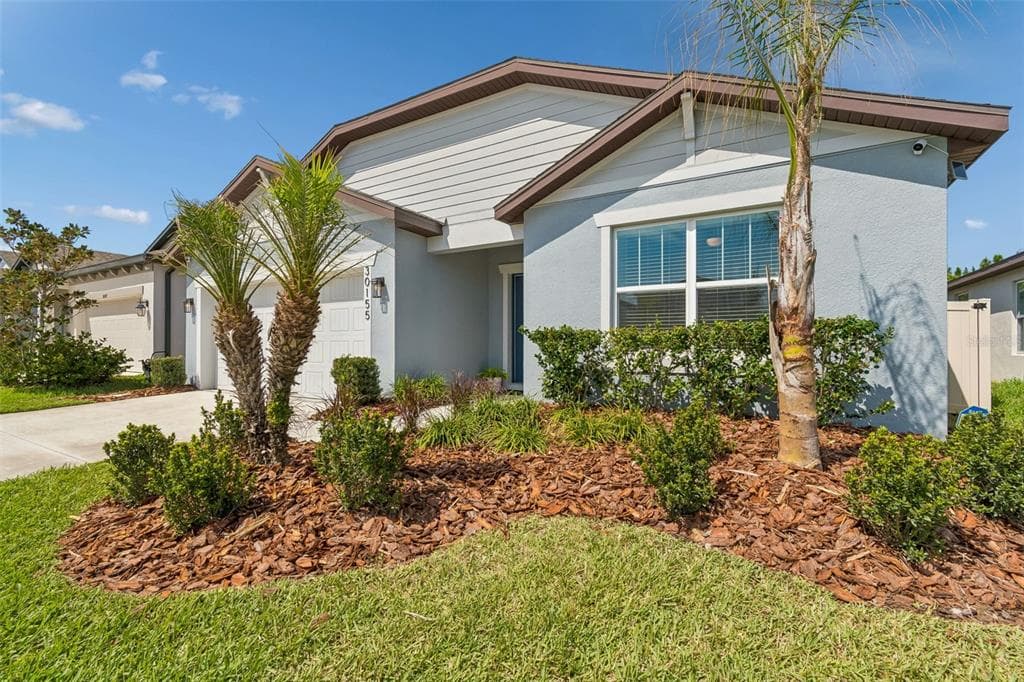 30155 MERILEE PLACE WESLEY CHAPEL, FL 33545