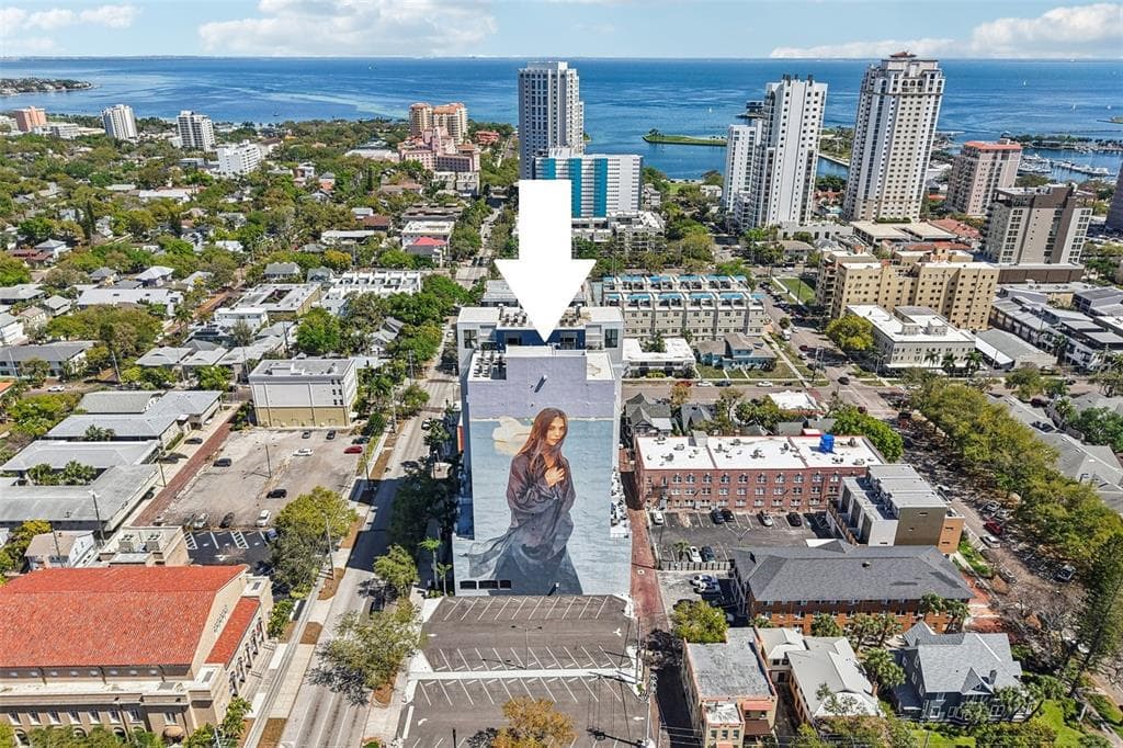 226 5TH AVENUE N UNIT 801 ST PETERSBURG, FL 33701