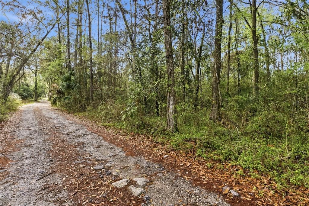 0 CHISHOLM STREET BROOKSVILLE, FL 34601