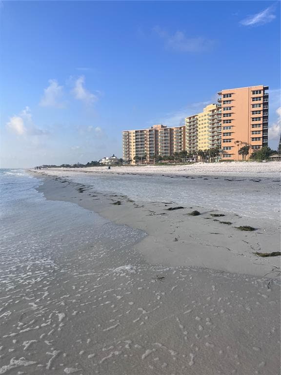 880 MANDALAY AVENUE UNIT S302 CLEARWATER BEACH, FL 33767