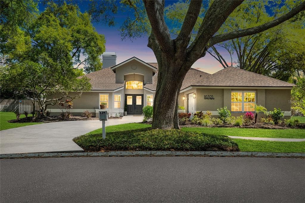 16705 SHEFFIELD PARK DRIVE LUTZ, FL 33549