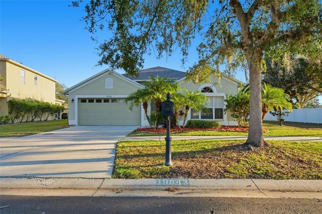 19043 NEW PASSAGE BOULEVARD LAND O LAKES, FL 34638