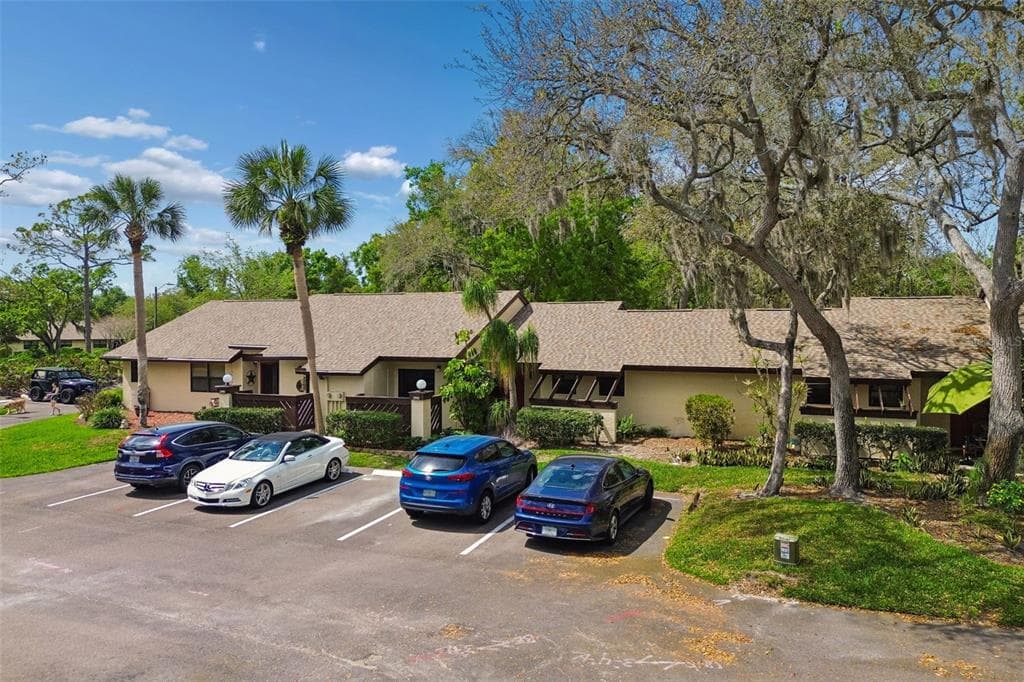 2993 ELDER COURT PALM HARBOR, FL 34684