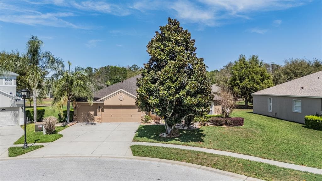 19101 LONE CREEK COURT LAND O LAKES, FL 34638