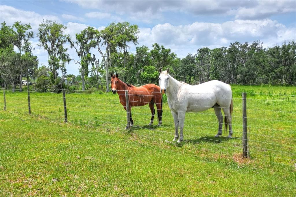 0 S CR 39 LITHIA, FL 33547