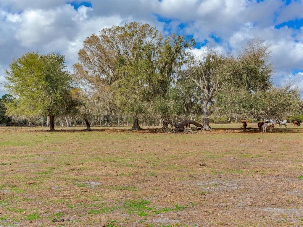 0 S CR 39 LITHIA, FL 33547