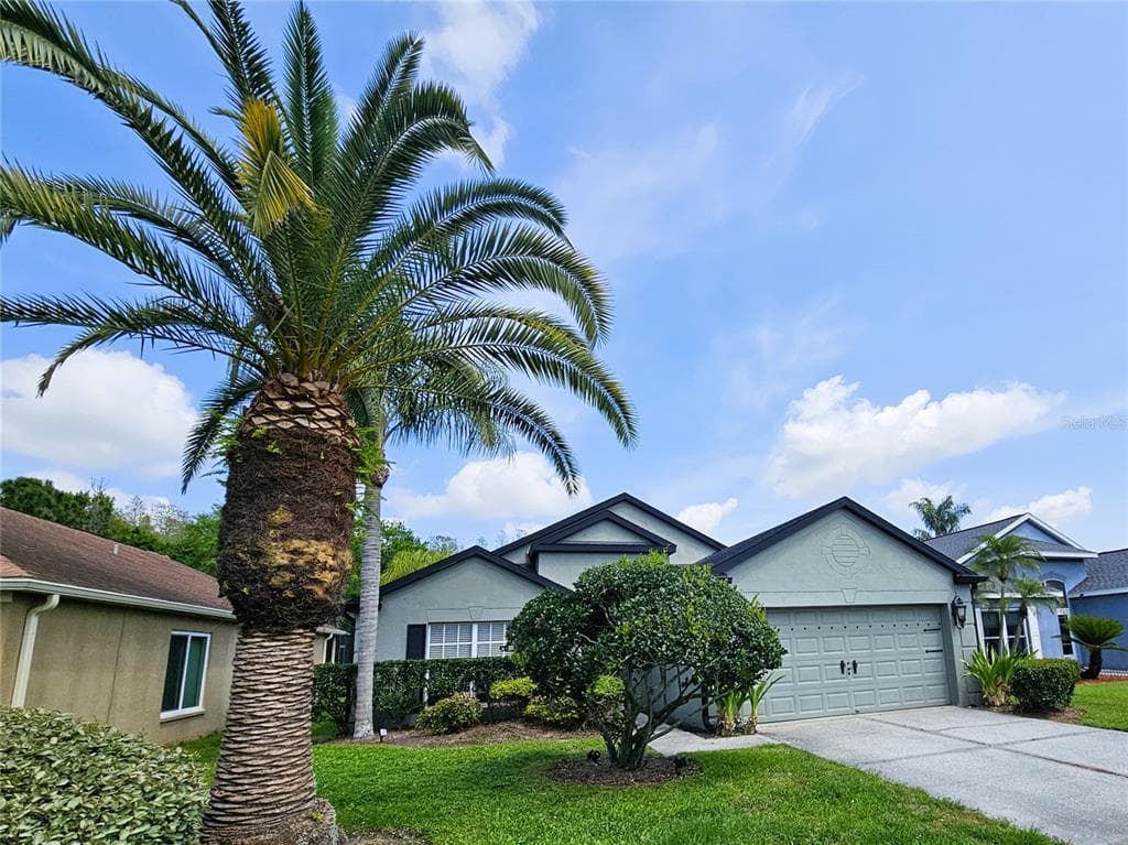 4521 GULFWINDS DRIVE LUTZ, FL 33558