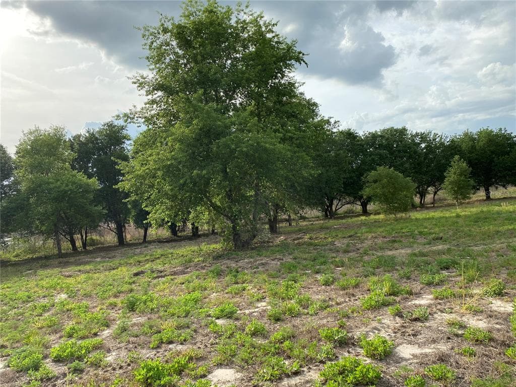 SOUTH O 'BRIEN ROAD GROVELAND, FL 34736