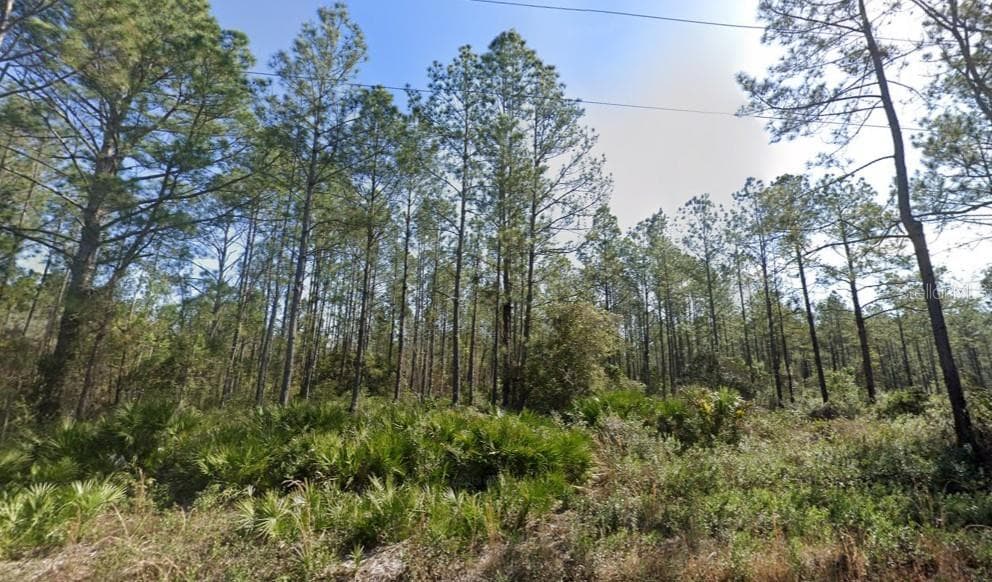 10620 BECKENGER AVENUE HASTINGS, FL 32145