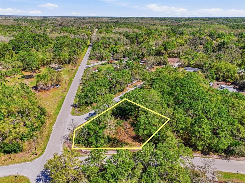 100 FERN STREET NEW PORT RICHEY, FL 34654