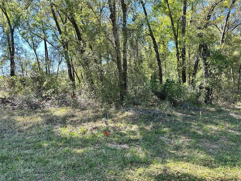 446 N FITZPATRICK AVENUE INVERNESS, FL 34453