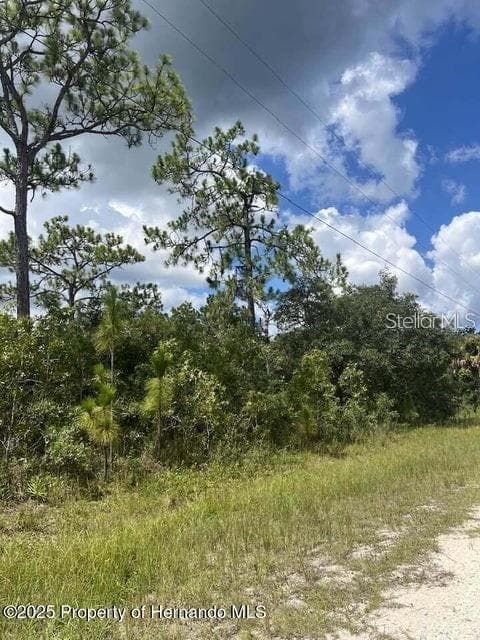 10194 YELLOW FROG AVENUE WEEKI WACHEE, FL 34614