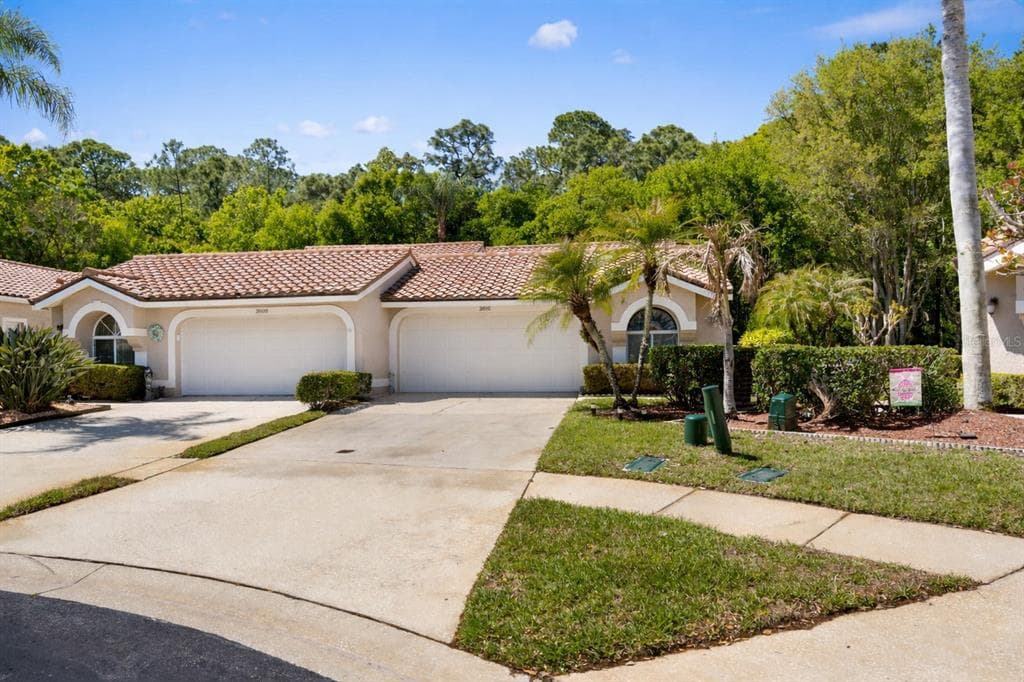 3810 DARSTON STREET PALM HARBOR, FL 34685