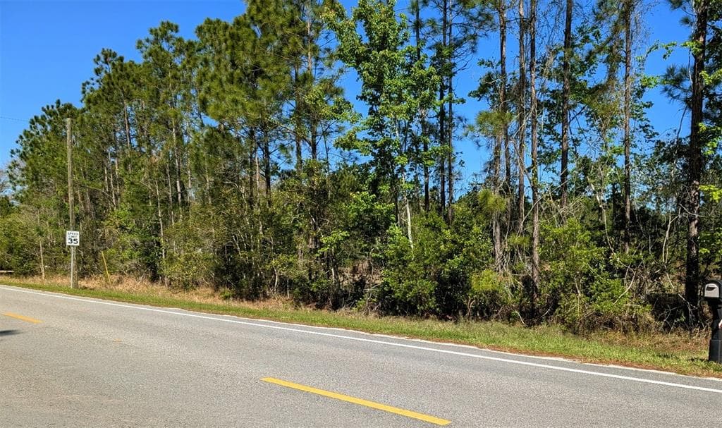 4914 MAHOGANY BOULEVARD BUNNELL, FL 32110