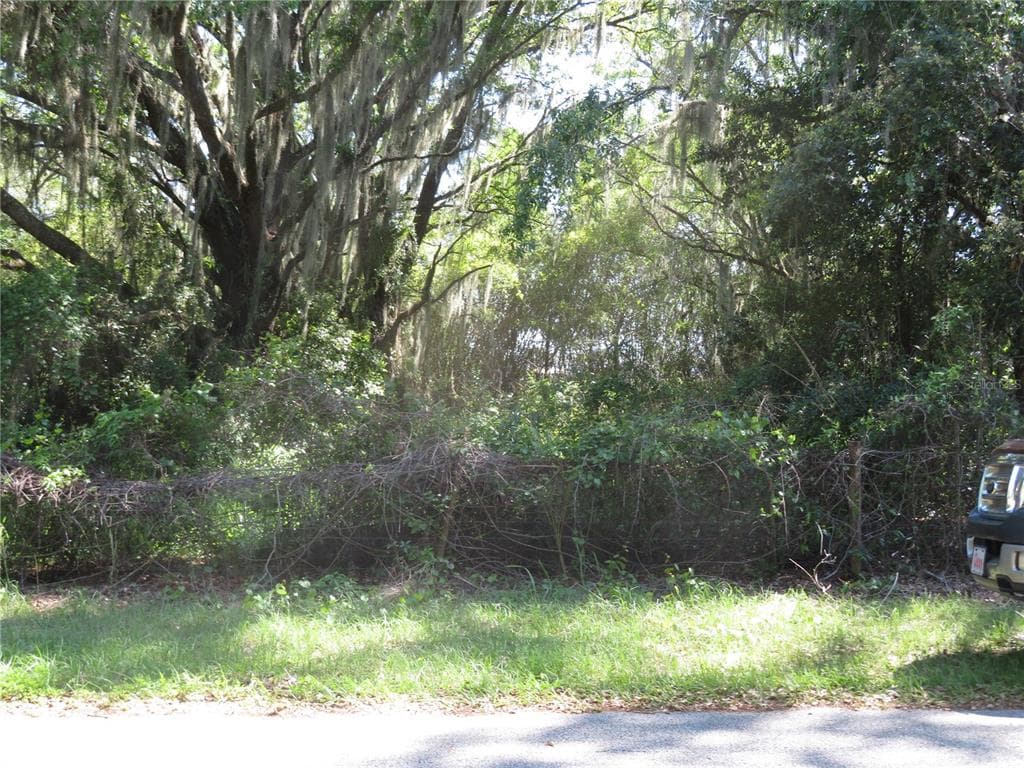 FLORIDA AVENUE SAN ANTONIO, FL 33576