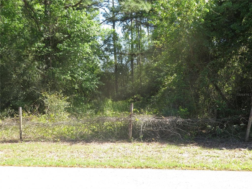 FLORIDA AVENUE SAN ANTONIO, FL 33576