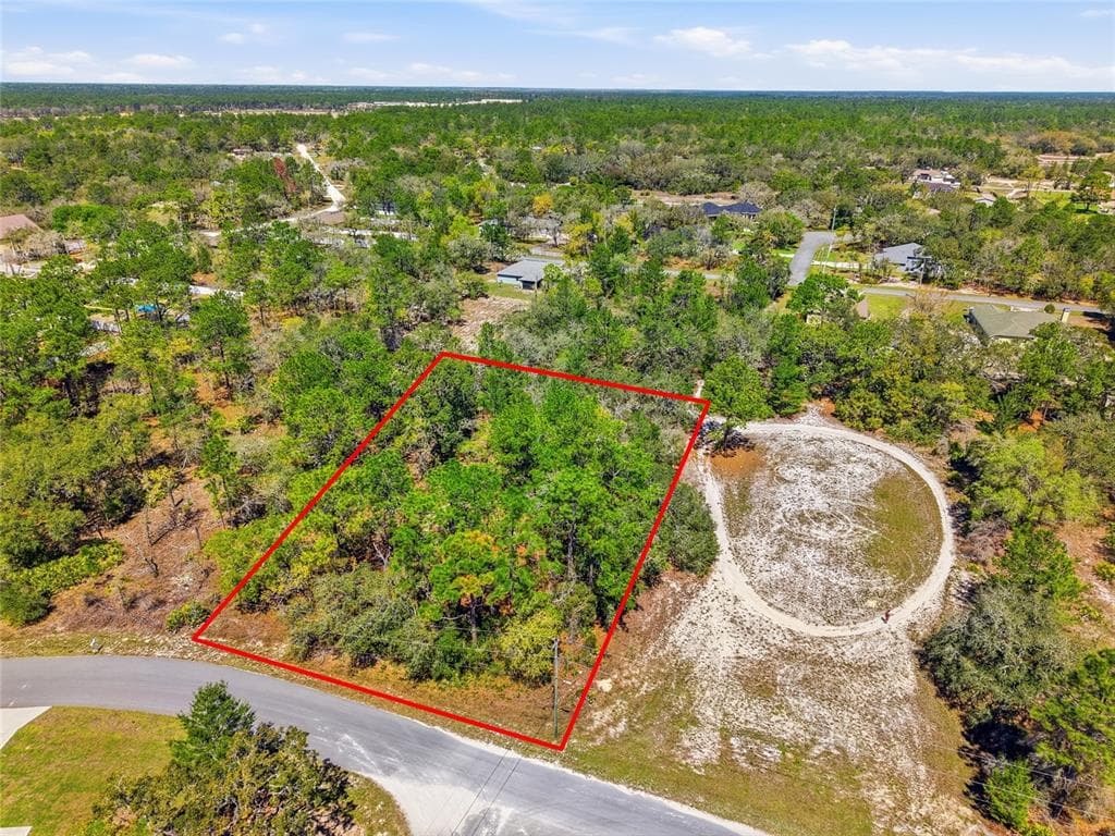 11155 MARSH WREN AVENUE WEEKI WACHEE, FL 34614