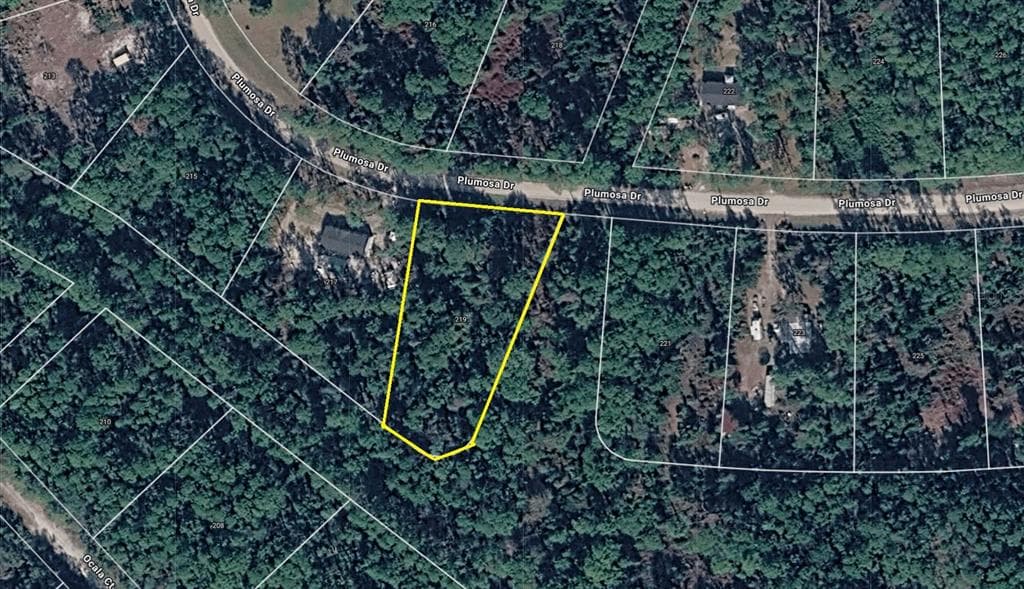 219 PLUMOSA DRIVE GEORGETOWN, FL 32139