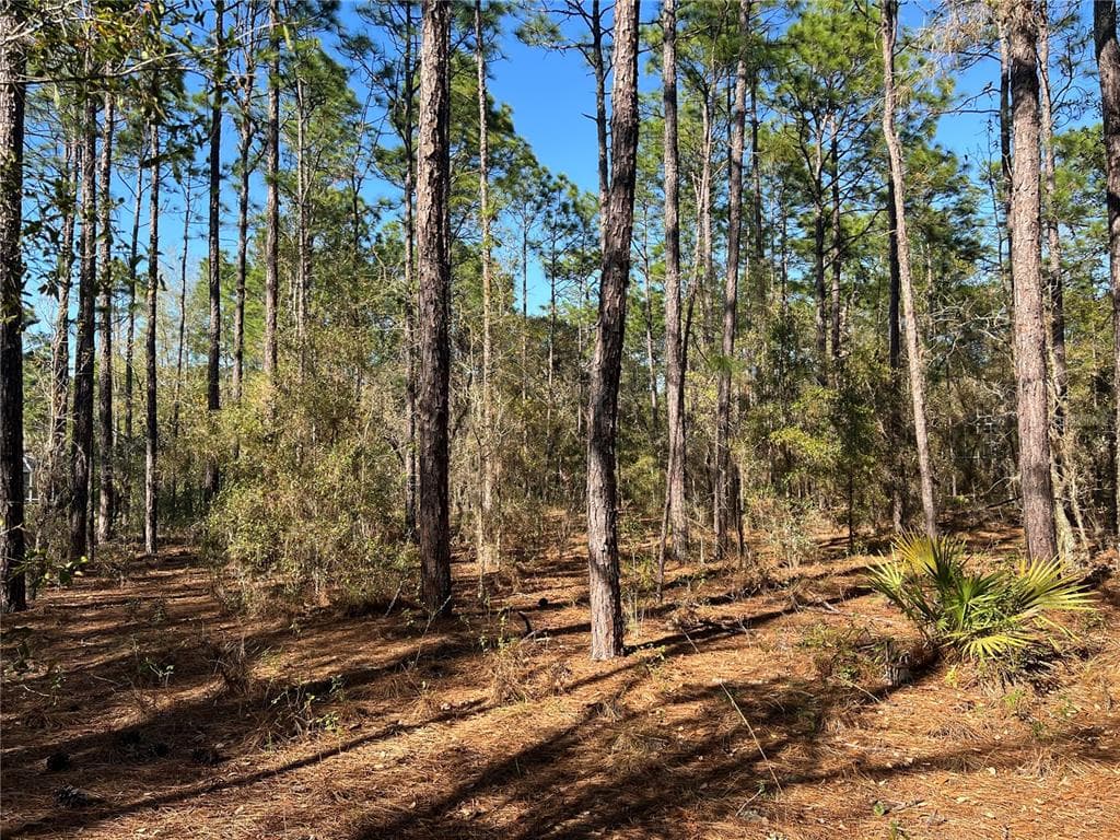 4061 N LITTLE DOVE TERRACE HERNANDO, FL 34442